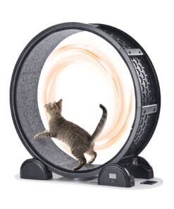 VEVOR Cat Exercise Wheel with Solar-Powered Pedometer