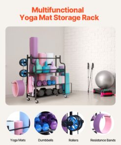 Dumbbells & Equipment