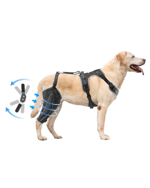VEVOR Adjustable Dog Knee Brace for Right Hind Leg ACL Support Pain Relief for Injured Dogs