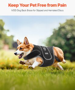 Шлейка для поддержки позвоночника для собак малого и среднего размера