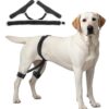 Бандаж для поддержки Тазобедренного сустава Собаки VEVOR Регулируемая Шлейка для домашних животных для облегчения Дисплазии Тазобедренного сустава и боли в суставах