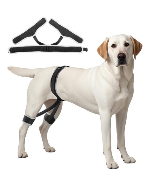 VEVOR Dog Hip Support Brace Adjustable Pet Harness for Hip Dysplasia and Joint Pain Relief