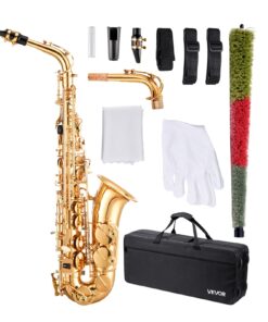 VEVOR E-Flat Alto Saxophone Beginner Kit with Case