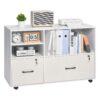 VEVOR Mobile Wooden Filing Cabinet with 2 Lockable Drawers