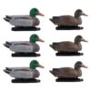VEVOR 6 Piece Realistic Floating Teal Duck Decoys for Hunting  Outdoor Decoration