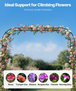 Weddings & Outdoor Decor