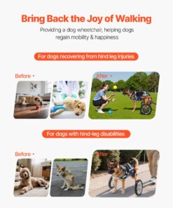 Large 21.7–39.9 kg