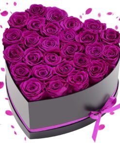 VEVOR Preserved Roses – 27 Eternal Flowers in Heart-Shaped Box