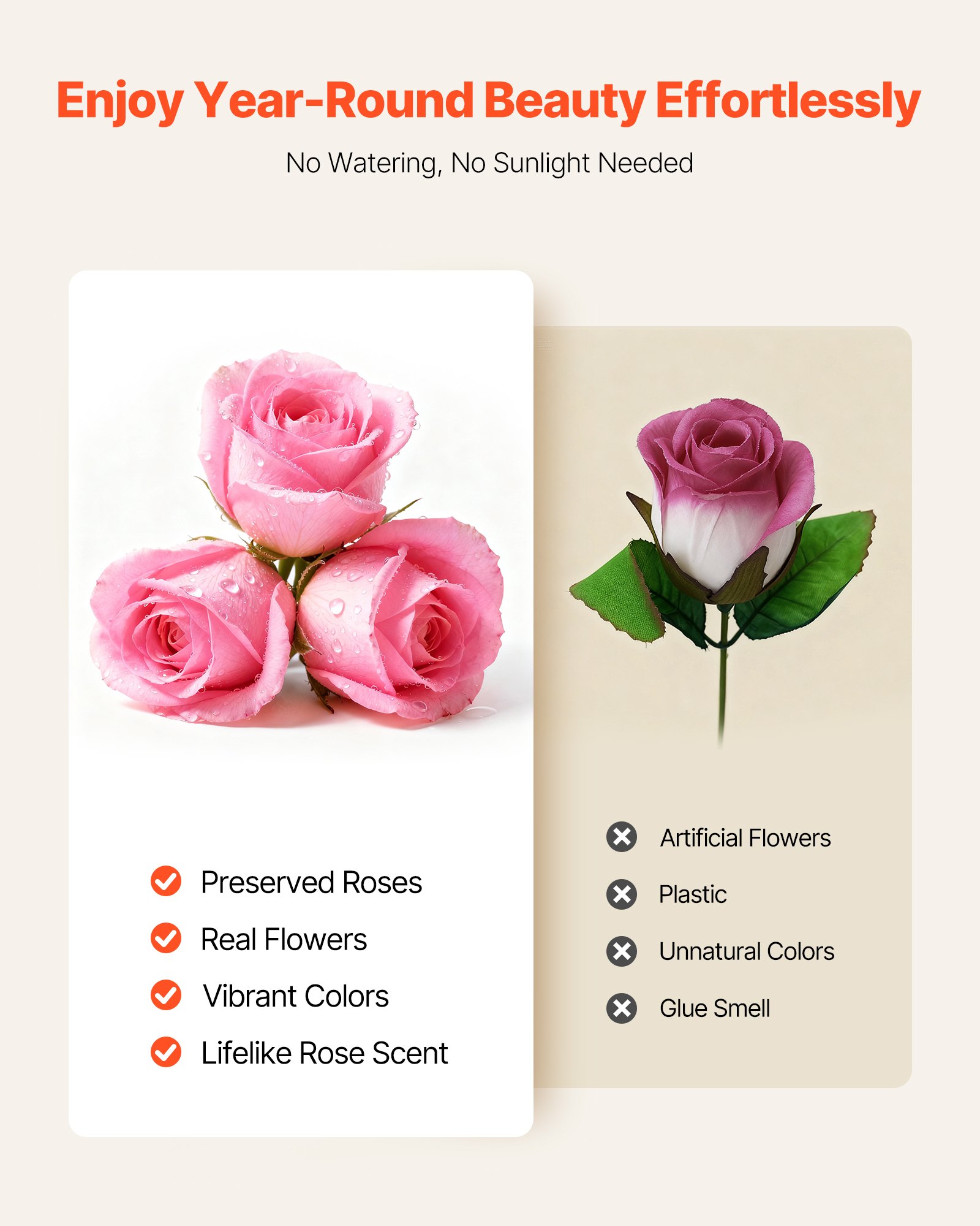 MIO55NJ6preservedflowersf3 VEVORshoplv Anniversary