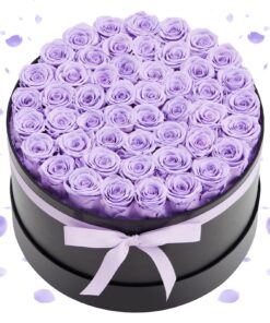 VEVOR 50 Preserved Roses in Box – Eternal Lavender Purple Flowers
