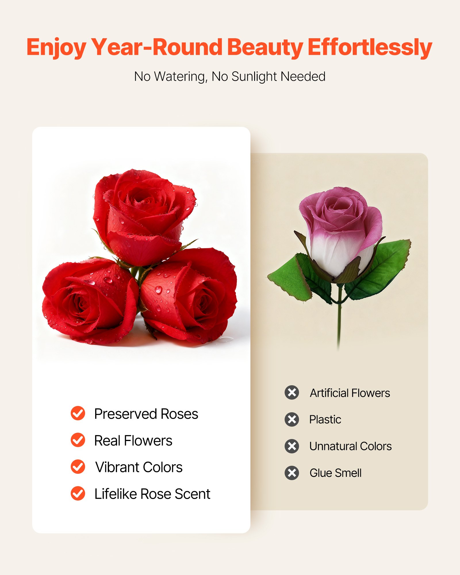 MIO567RDpreservedflowersf3 VEVORshoplv Anniversary