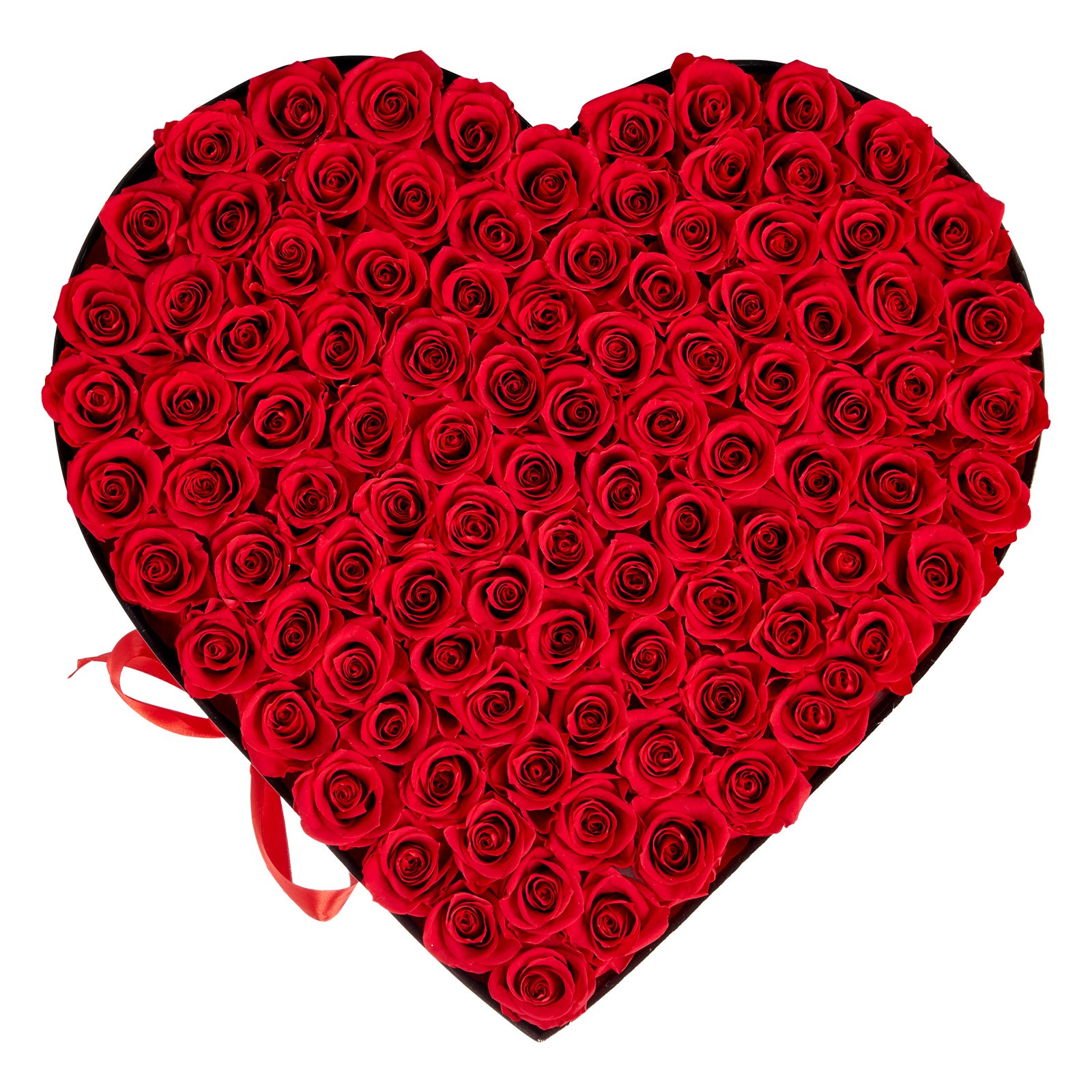 MIO567RDpreservedflowersm10011 VEVORshoplv