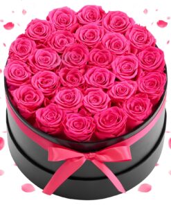 VEVOR 27 Preserved Roses in Gift Box – Eternal Real Flowers for Birthday