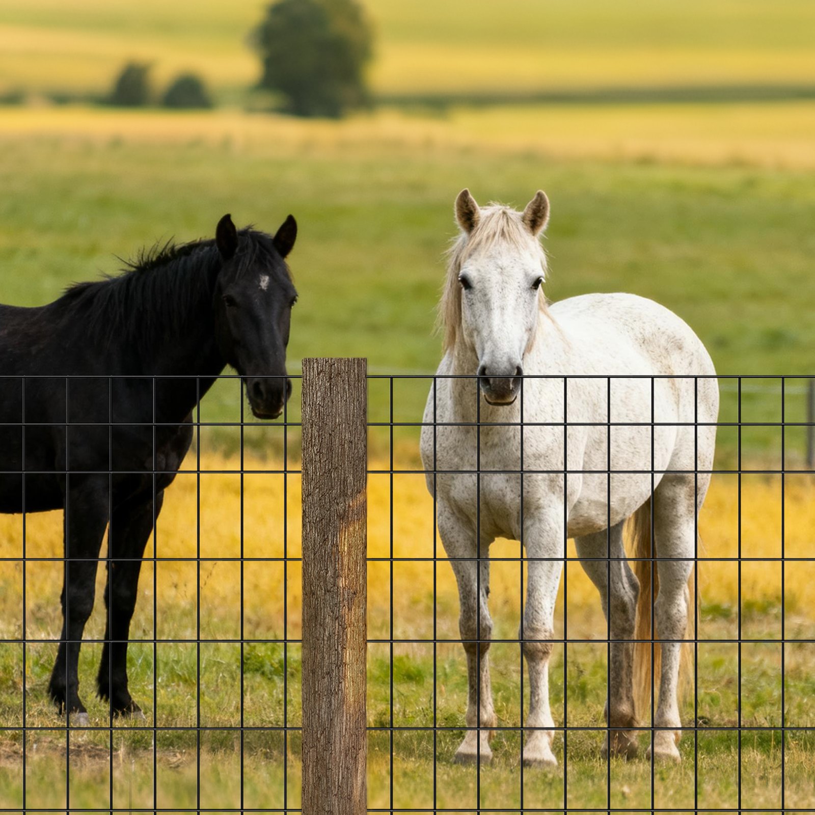 MIWPT841hardwareclothm100112 VEVORshoplv