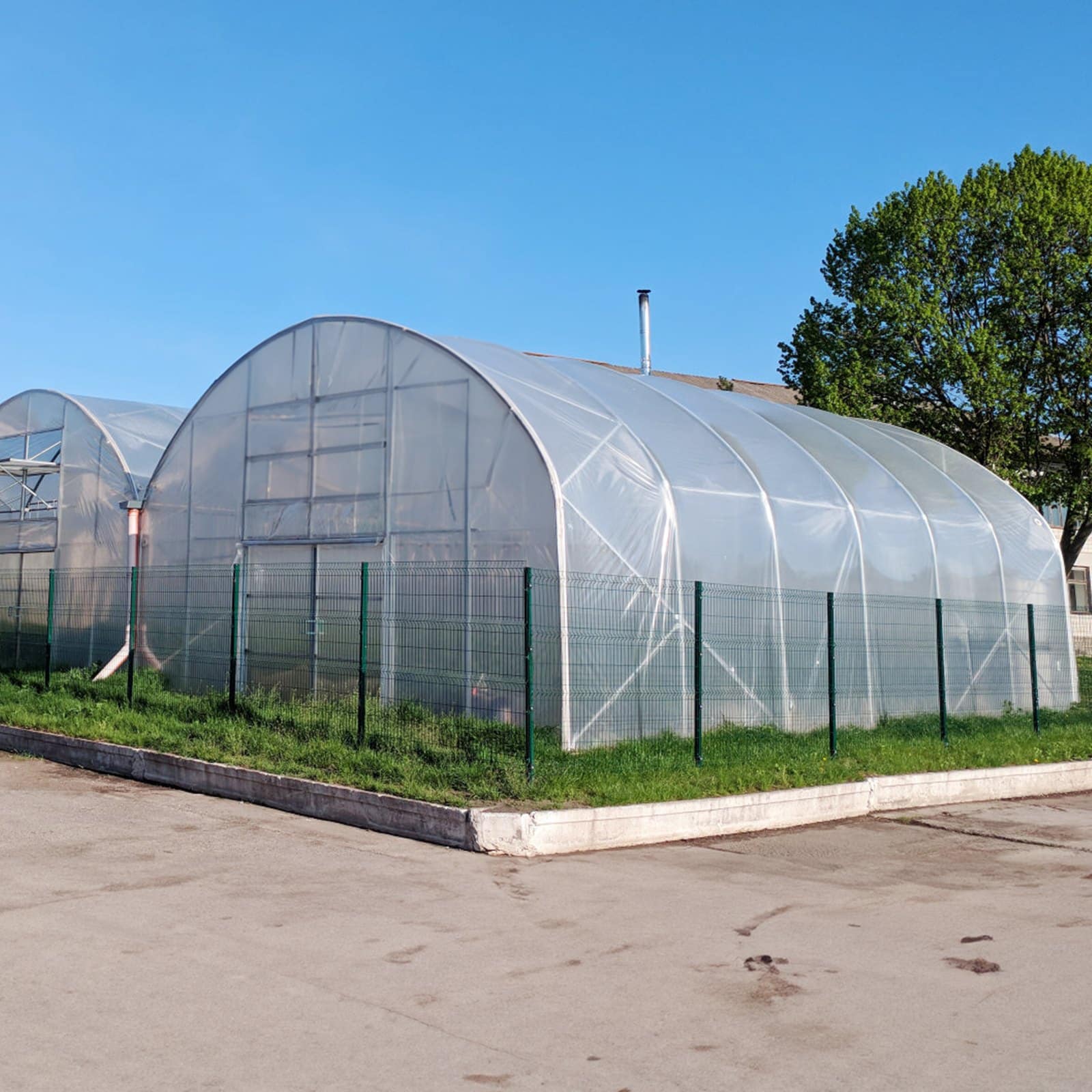 VEVOR Clear Greenhouse Film 3.66x15.24m, 150 Micron Polyethylene, UV Resistant 4 Years, for Gardening, Farming, Agriculture - Зображення 8