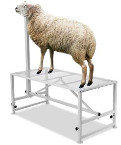 Farm Animal Supplies