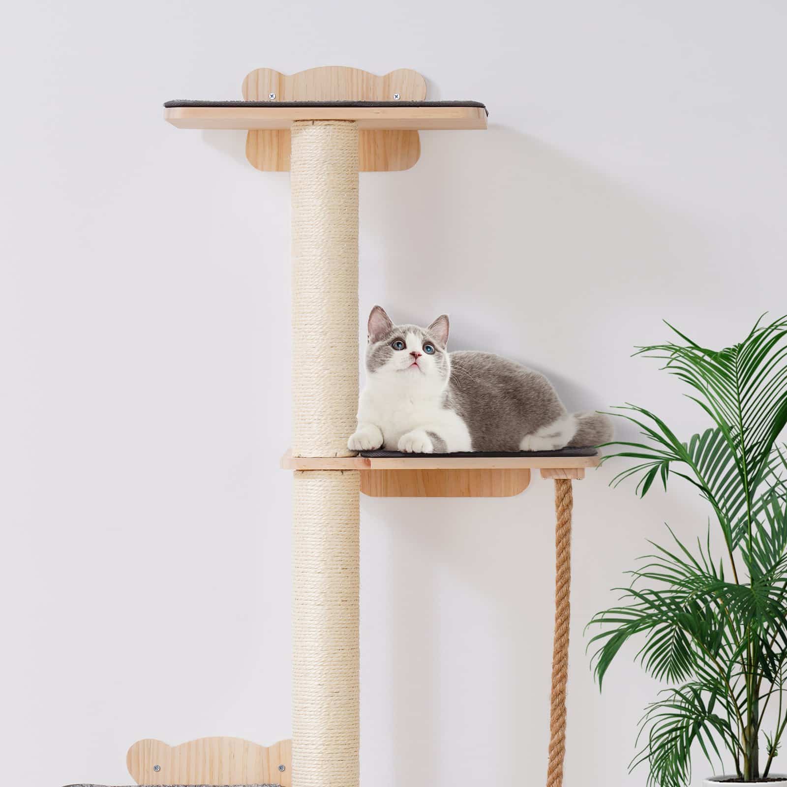 VEVOR 4-Tier Wall-Mounted Cat Tree Set with Jumping Boards, Rope & Posts, Pine Wood, Holds up to 18.14 kg, for Climbing & Resting - Pilt 8