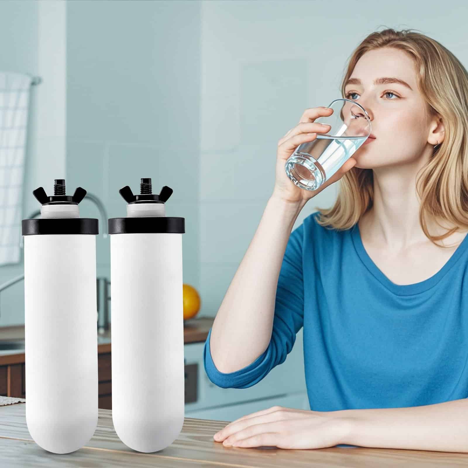 VEVOR Ceramic Water Filter Replacements, 2-Pack, Removes 99.9% Chlorine & Heavy Metals, Compatible with Gravity Systems – Paveikslėlis 8