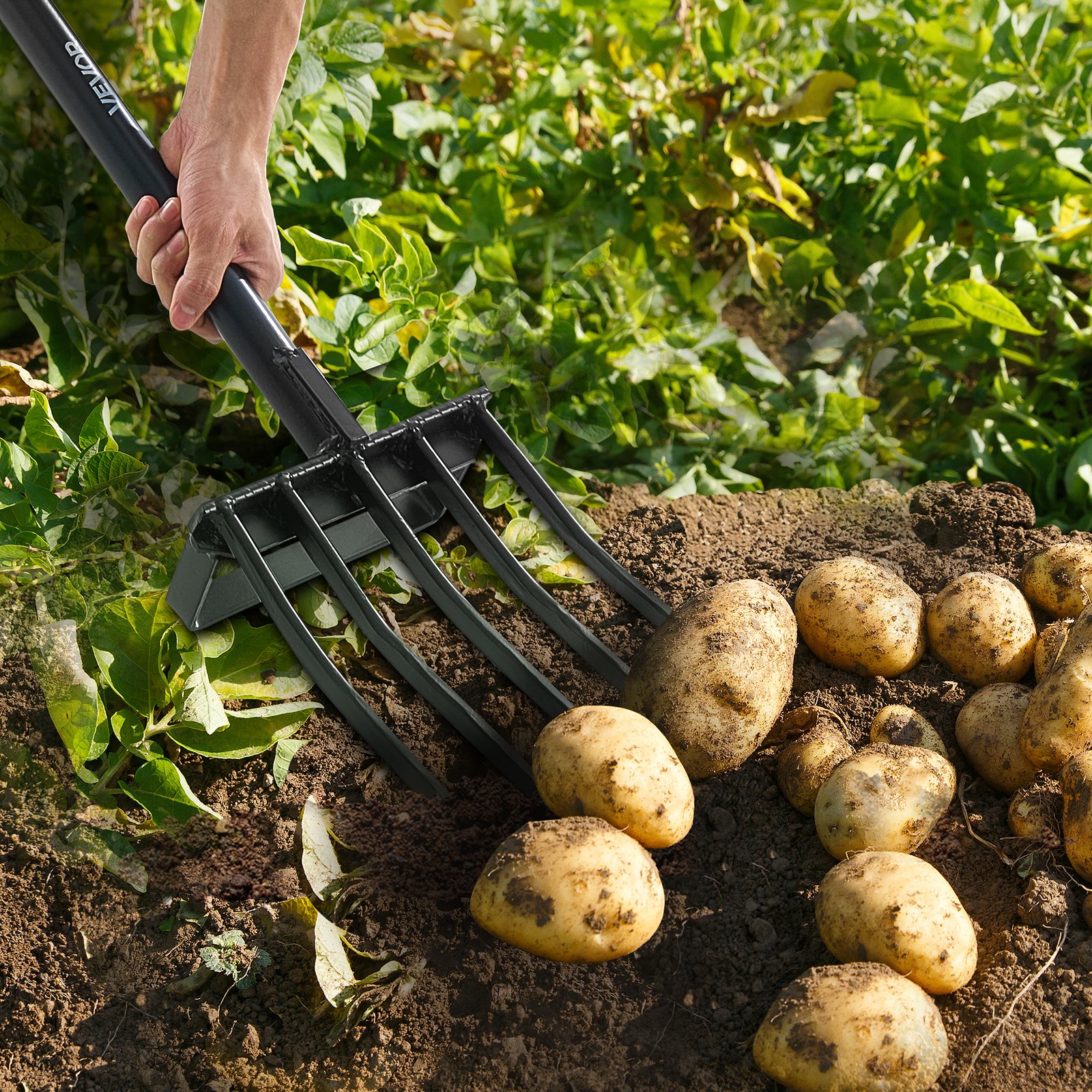 VEVOR 104 cm Garden Fork, 5-Tine Forged Steel Digging Fork with Metal Y Handle for Compost, Potatoes, Aeration, Transplanting - Pilt 8