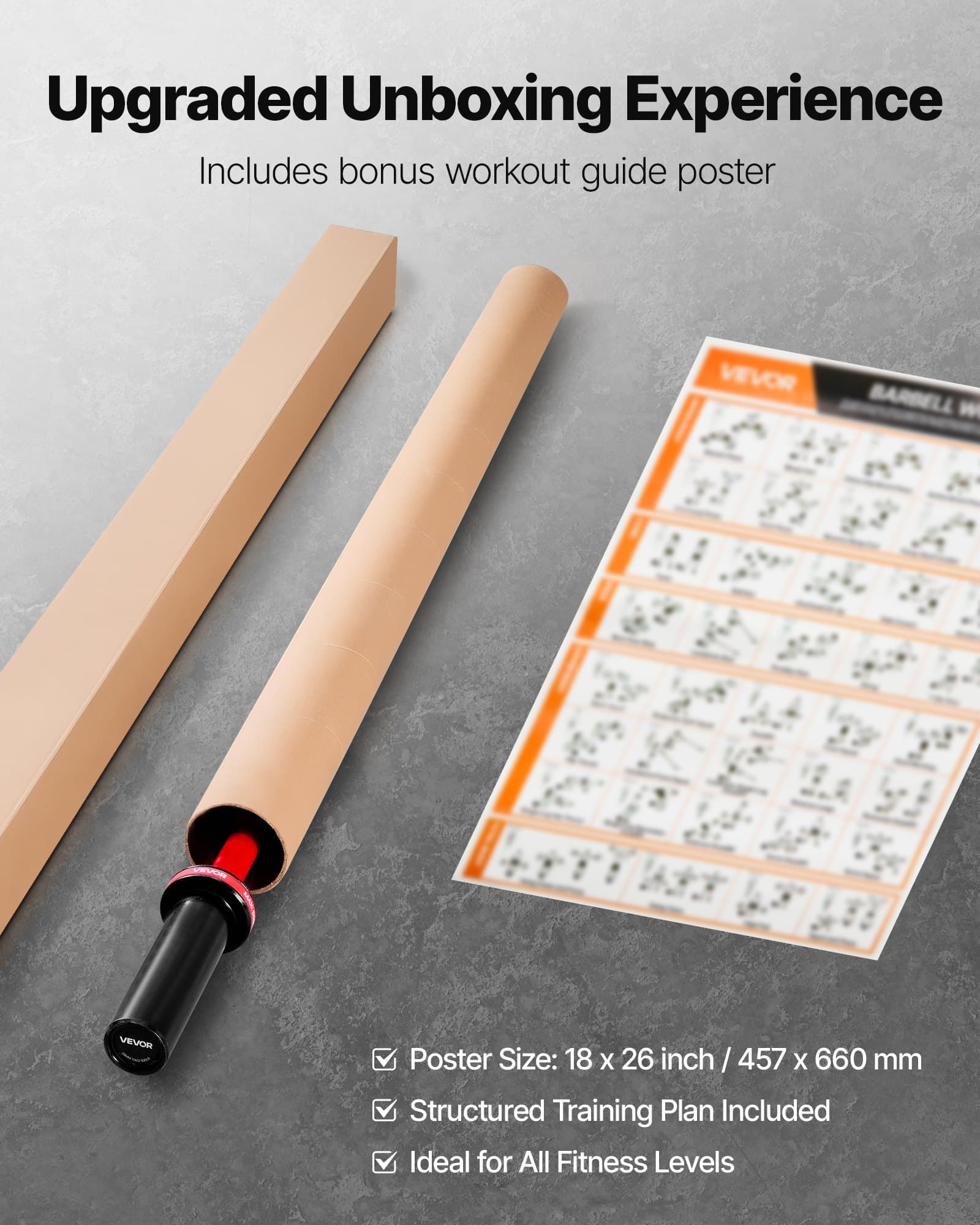 VEVOR 120cm Barbell Bar for 50mm Plates, 226kg Capacity, Knurled Grip, Bearings, Strength & Powerlifting Training - Pilt 7