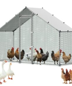 VEVOR Большой 3x1x2 м Металлический Курятник со Шпилевидной Крышей, Водонепроницаемым Навесом и Стальным Каркасом – Для Уличного Использования