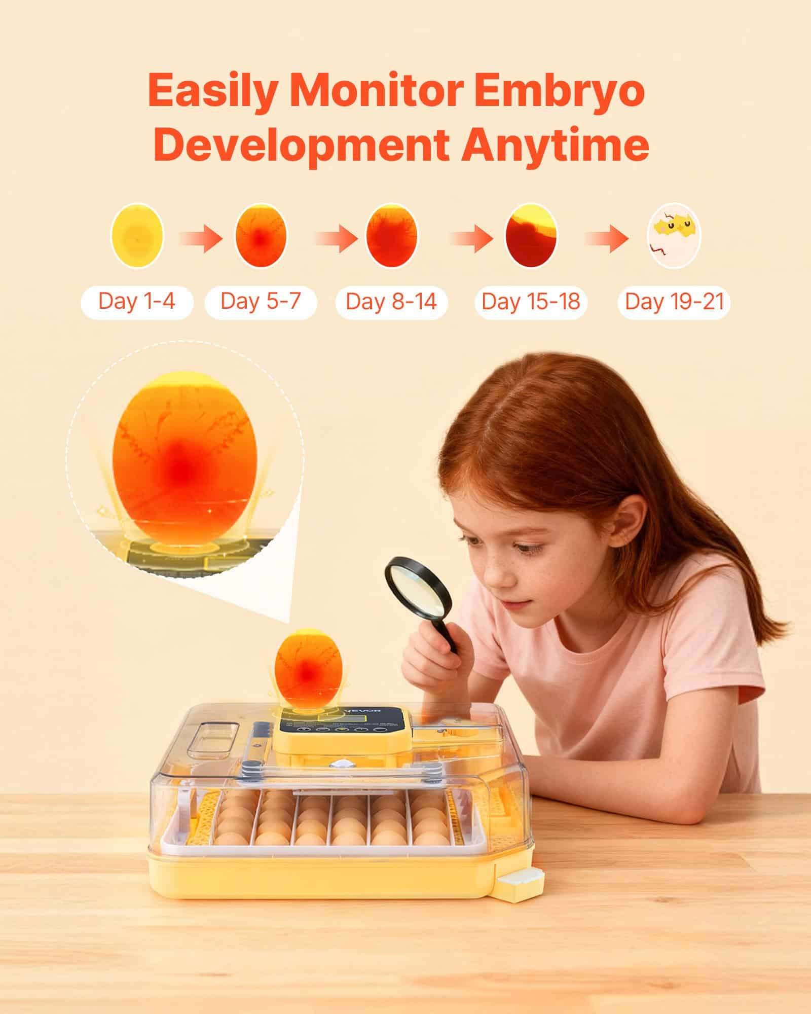 VEVOR Automatic 48 Egg Incubator with LED Candler, Auto Turning, Temp & Humidity Control, for Chicken, Duck, Goose, Quail Eggs - Image 5