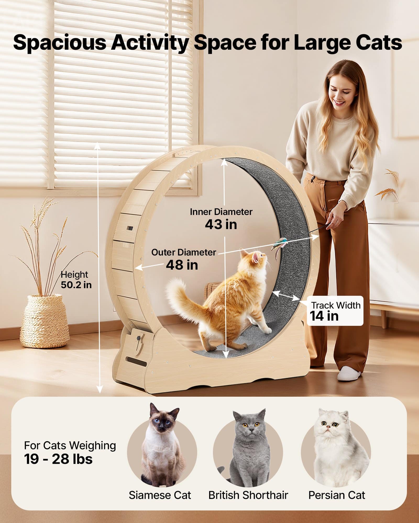 VEVOR 120cm Wooden Cat Exercise Wheel for Indoor Cats up to 12.7kg, Quiet Treadmill with Carpet Runway & Lock Lock — изображение 2