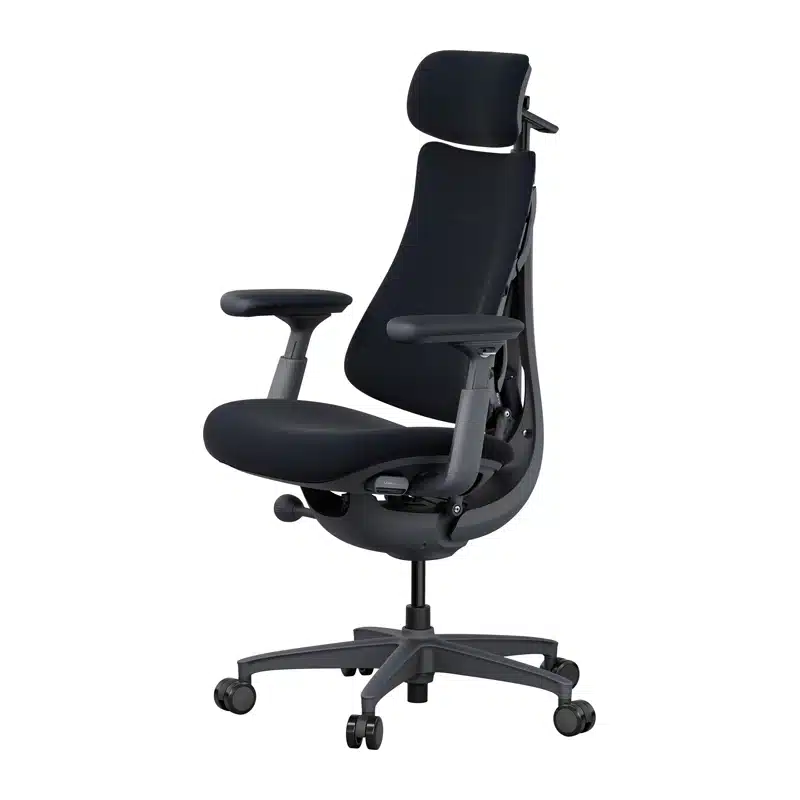 Эргономичный стул LiberNovo Omni Dynamic 45 см (черный)